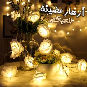 Guirlande lumineuse à 40 LED - 9 m - Branchement direct avec secteur étanche décoration idéale pour chambre (Ampoule)