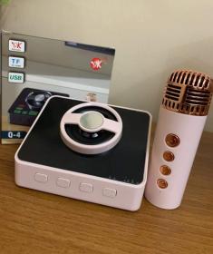 Machine de karaoké Mini microphone et haut-parleur KTV