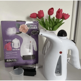 Steamer portatif 2in1  pour vêtements/vapeur pour le visage 1000 W Rz-608