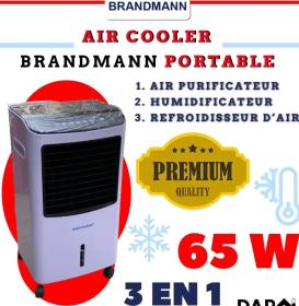 BRENDMANN® AIR COOLER